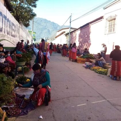 Seeds La nueva economía en Ixil